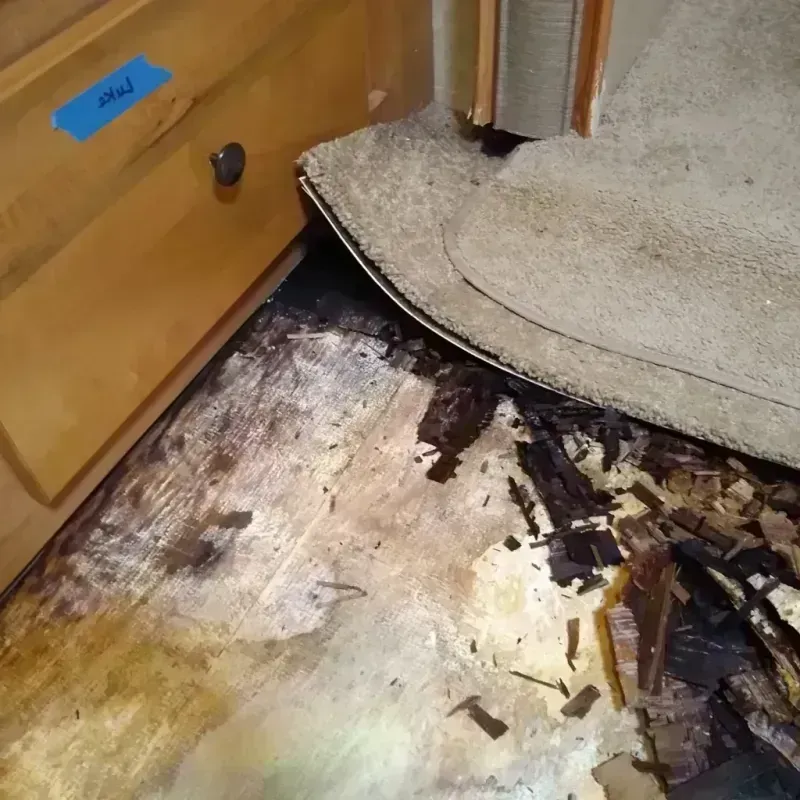 Wood Floor Water Damage in Livingston County, MI